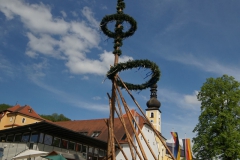 maibaum_25
