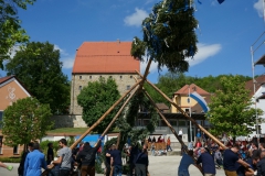 maibaum_57