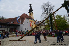 maibaum_00